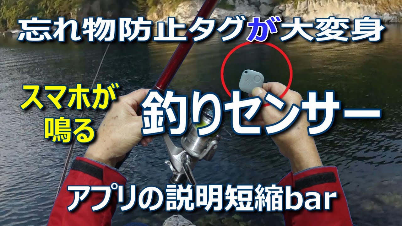 What is the true nature of this fishing sensor? (abbreviated bar