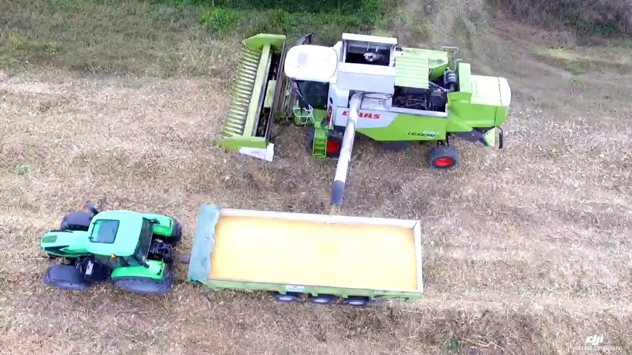Trebbiatura mais 2019 con CLAAS lexion 630 montana e barra zaffrani