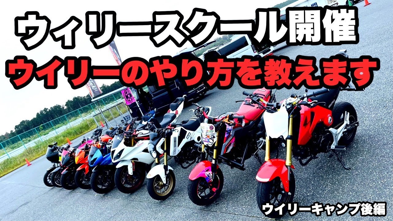 I don't have a teaching license, but I run a wheelie school! If