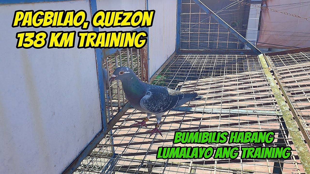 BFRC PAGBILAO, QUEZON TRAINING 138 KM - BUMIBILIS HABANG LUMALAYO