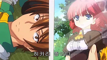 란스애니 란스애니