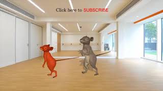 Funny Rat dance 2017