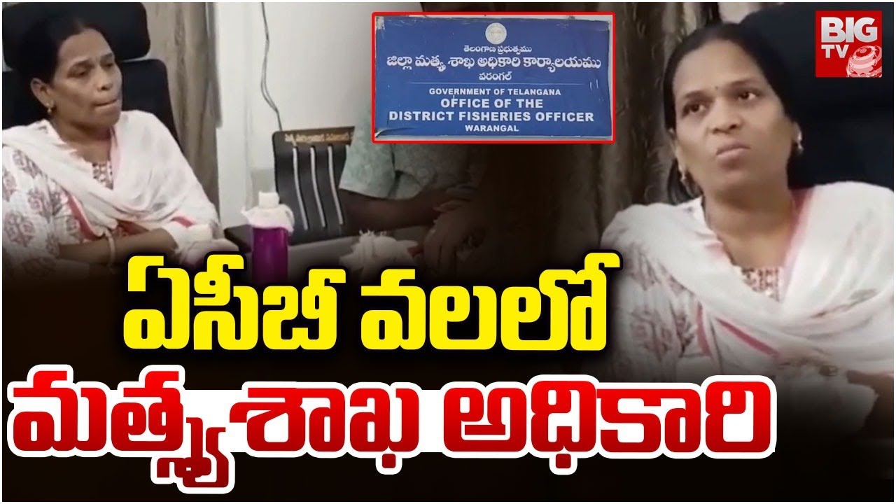 ఏసీబీ వలలో మత్స్యశాఖ అధికారి | ACB Raids In Waranagal Fisheries Office | BIG TV