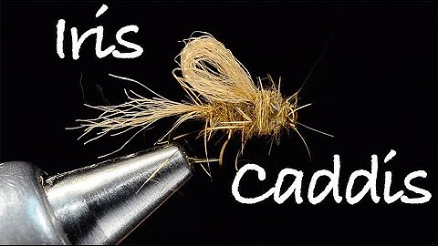 Iris Caddis Fly Tying Instructions by Charlie Craven