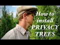 How to install PRIVACY TREES + TIPS on what NOT to do