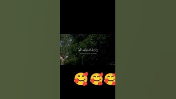 #القران الكريم #اكسبلور #flowers #تيك_توك