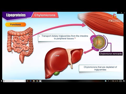 लिपोप्रोटीन और एपोलिपोप्रोटीन - संरचना, कार्य और चयापचय: ​​चिकित्सा जैव रसायन