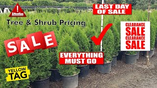 Emerald Green Arborvitae & Leyland Cypress - How to Buy