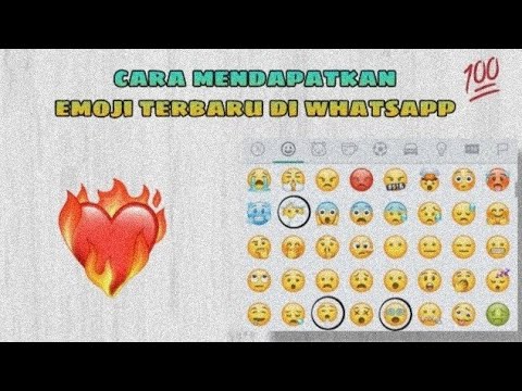 Video: Cara Mudah Menghubungi TikTok: 15 Langkah (dengan Gambar)