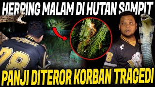 AKIBAT NEKAT CARI ULAR DI PEMAKAMAN MASAL TRAGEDI SAMPIT KALIMANTAN TENGAH AKIBAT NEKAT CARI ULAR DI PEMAKAMAN MASAL TRAGEDI SAMPIT KALIMANTAN TENGAH