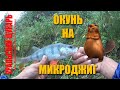 ОКУНЬ НА МИКРОДЖИГ!!! ВСТРЕТИЛ БОБРА!!!