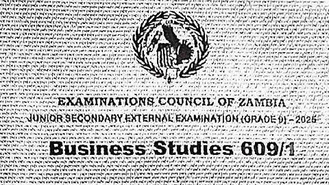 2025 G9 Business Studies ext