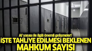 Af Yasasında Yeni Düzenleme İddiası Detaylar Yavaş Yavaş Netleşiyor