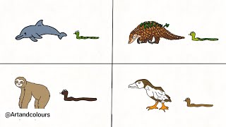 How Dinosaurs Were Made? Spinosaurus Dinosaur Drawing Pictures Triceratops Dilophosaurus