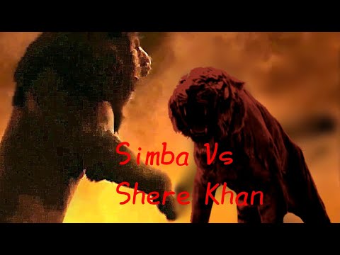 Simba VS ShereKhan  (Live action)