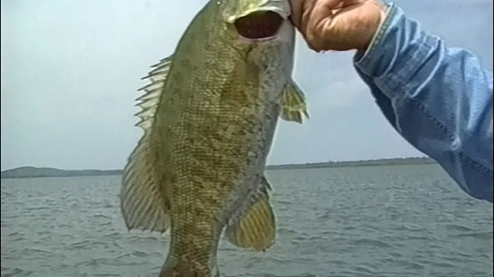 Stacey King - Jerkbait Fishing (1996)