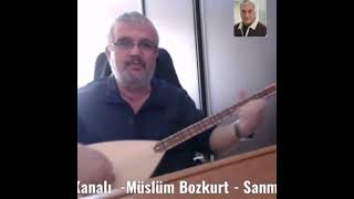 Müslüm Bozkurt - Birgün