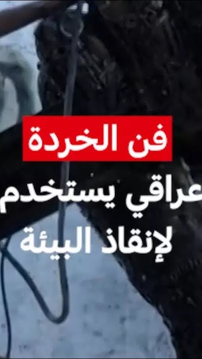        MCD
 - نشر قبل 20 ساعة