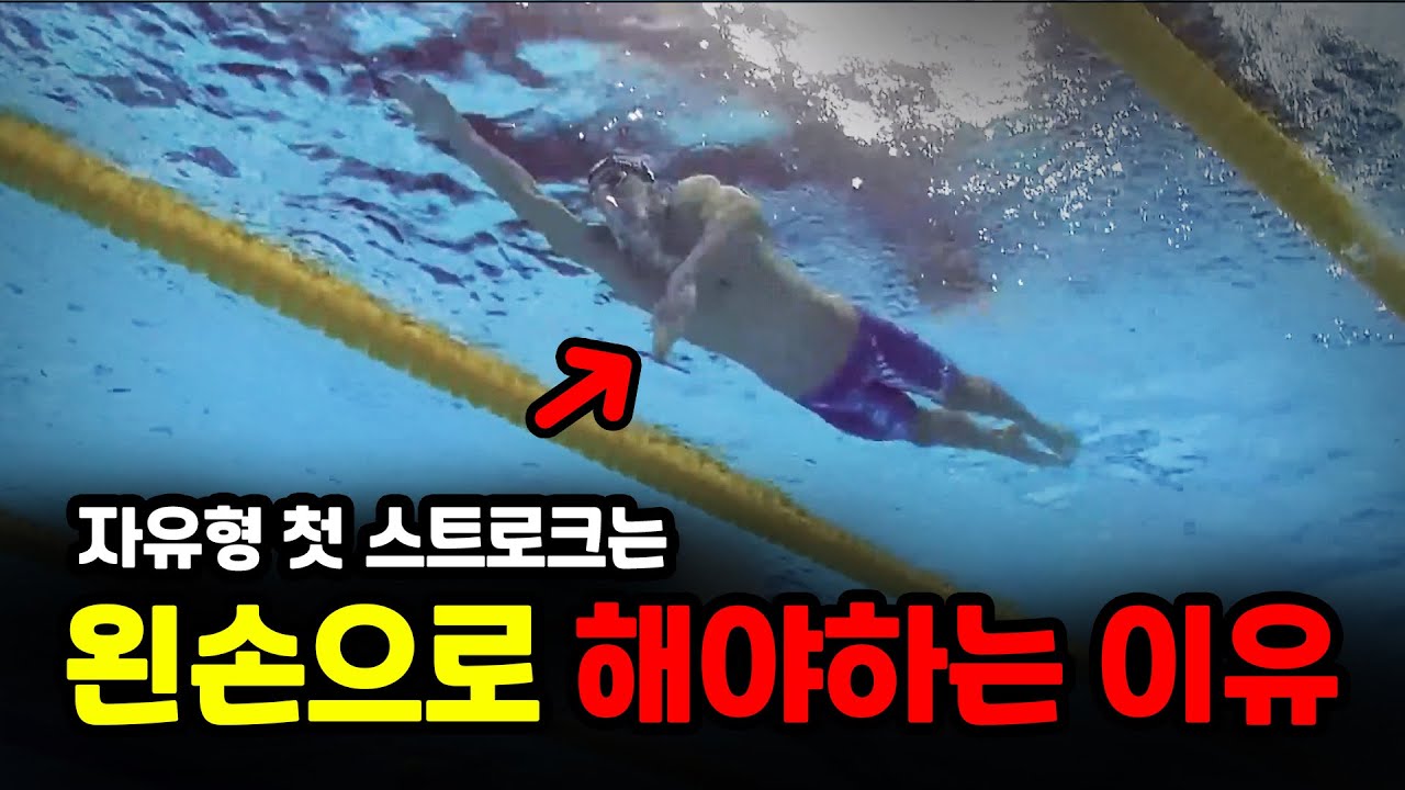 자유형 첫 스트로크는 왼손으로 해야하는 이유 l 술영라이브 l 신코치 피드백 #188