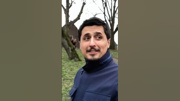 Kotlin Coroutines Unconfined Dispatchers! JA02 #jesprotech #softwarecreations #unconfined #scope