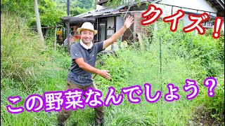 【新企画】竹内孝功さんの「この野菜なんでしょうクイズ！」＋豆知識
