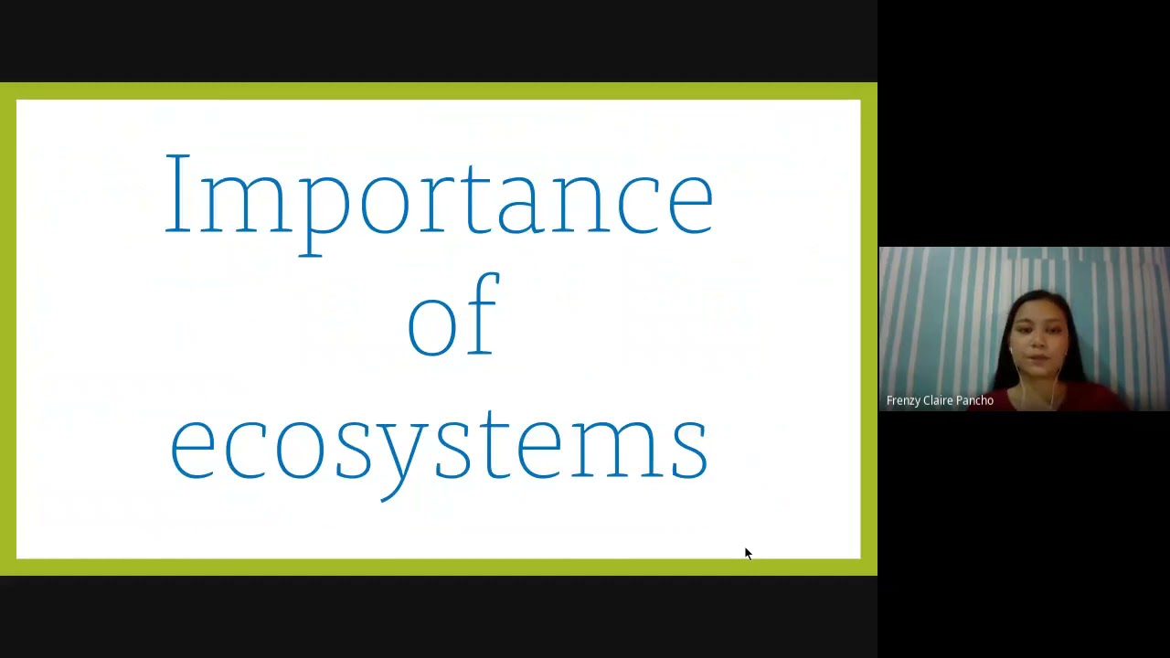 Importance of Ecosystem
