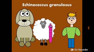 Hydatid disease (Echinococcus granulosus) التكيس المائي