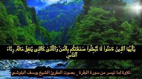 تلاوة المقرئ الشيخ يوسف البلوشي