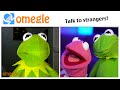 Kermit The Frog Meets Kermit the Frog on Omegle!