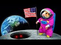 🐹 Hamster Goes to SPACE - Hamster Maze with Traps ☠️ [OBSTACLE COURSE]