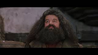 Harry Potter 1 Felsefe Taşı - Alışveriş Sahnesi 12