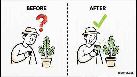 🌍The Global Movement to End Hunger: Introducing Food For All (Tech for Self-Reliance 🌱)