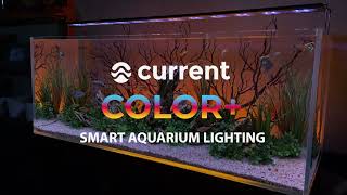 ColorPlus Smart Aquarium LED Light Video