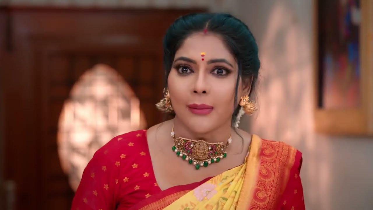 Anjali Apologises to Seetha - Seetha Raman - Full Ep 205 - Zee Tamil