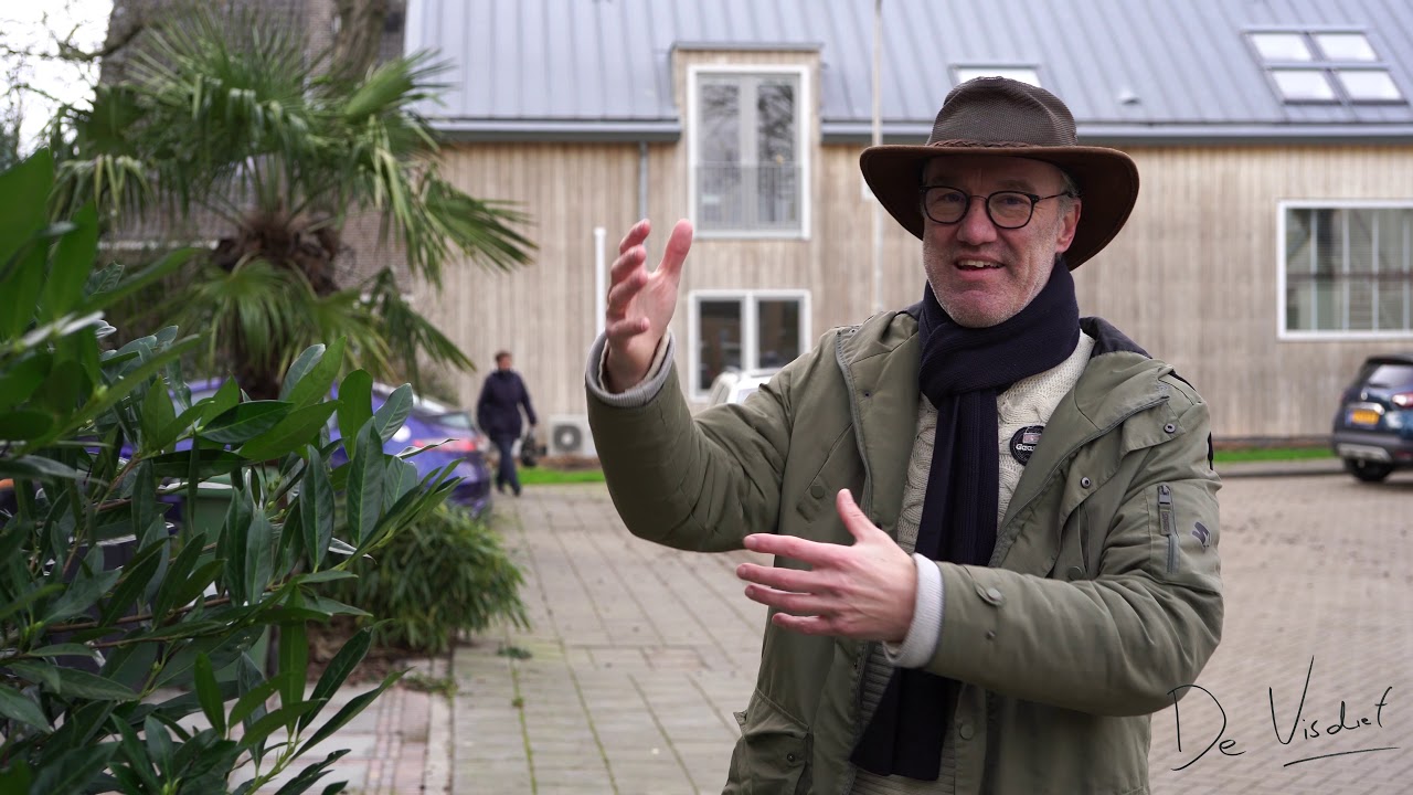 Vlog N° 234 Sijsjes in de straat / Eurasian siskin in our street