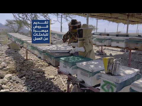مشاريع متنوعة لتوظيف الباحثين عن عمل في سلطنة عمان