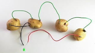 How to make a Potato Battery - Simple Steps