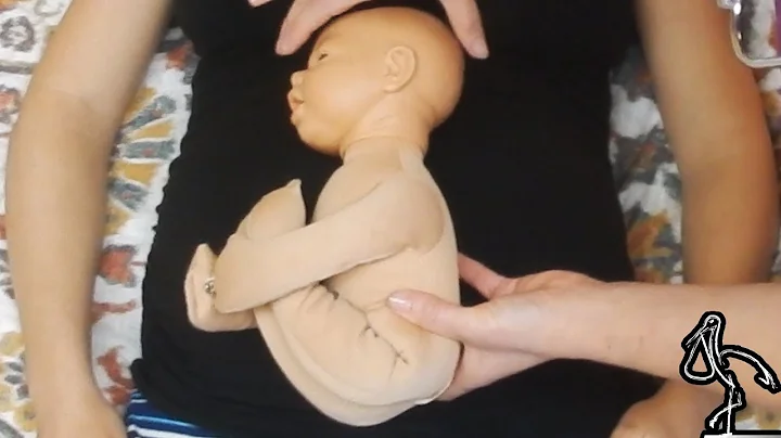 How to Know if Baby is Breech? Midwife Using Leopold's Maneuver to Know Position of Baby in Uterus - DayDayNews