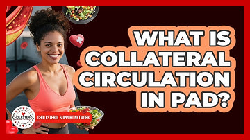 What Is Collateral Circulation In PAD? - Cholesterol Support Network