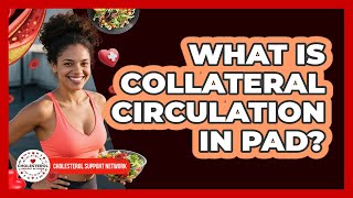 What Is Collateral Circulation In PAD - Cholesterol Support Network