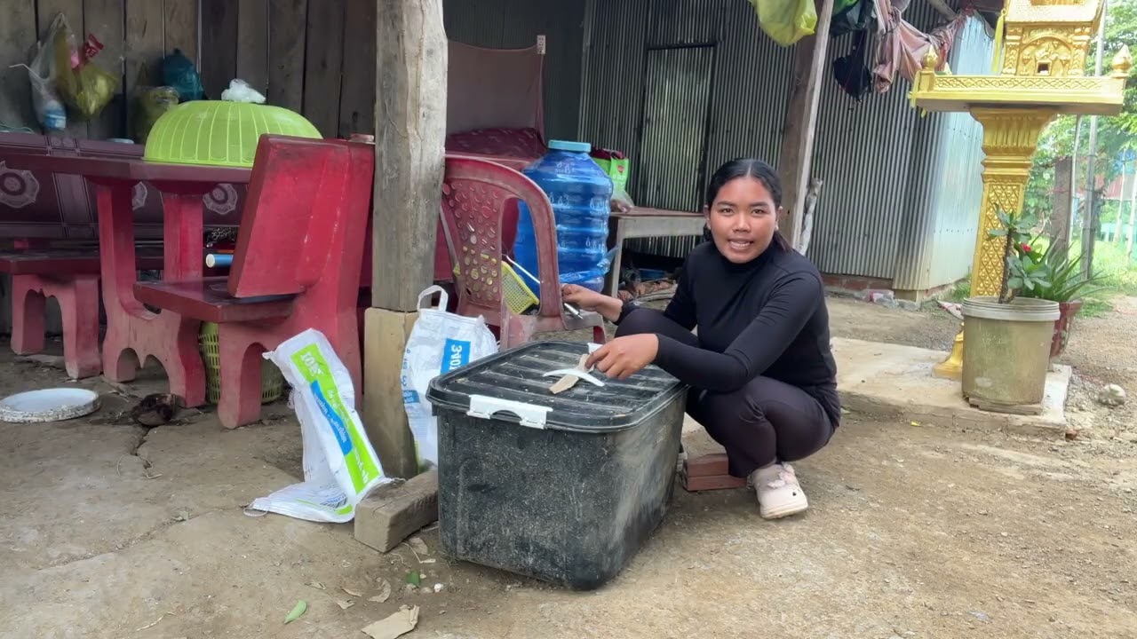 Today, refugees are eating snails together.