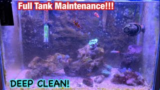 Deep Cleaning my Super Dirty Reef Tank! Maintenance not as hard as you think!