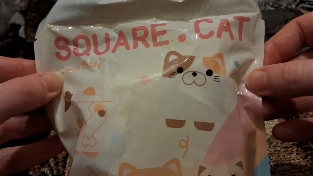 Opening Square Cat mini shakers by Choco Teddy