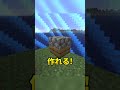 マイクラに存在してはいけないブロック #shorts #java版 #マインクラフト #マイクラ #minecraft