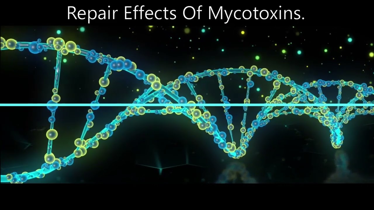 DNA UPGRADE [DEB GENIUSBIOFEEDBACK.COM]