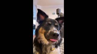 How Ethan Treats Spencer - Crankgameplays Insta Story