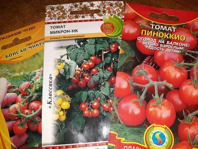 Сорта комнатных томатов