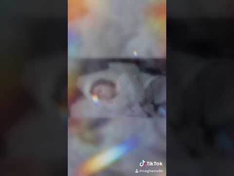 هان عليك قلبي
