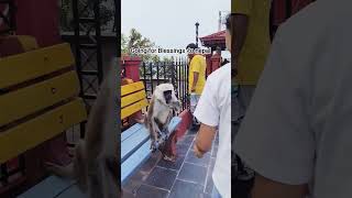 nepal temple visited ❤️❤️❤️ Aarohi Tiruwa 17 vlog 😘