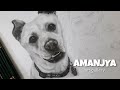 Drawing a Dog (commission artwork)... wip